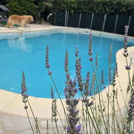 Des Canalettes Les Plans (Herault)